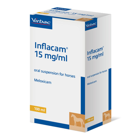 Inflacam 15mg/ml Oral Suspension horse (prescription only)