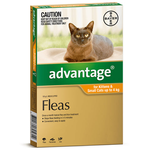 ADVANTAGE CATS