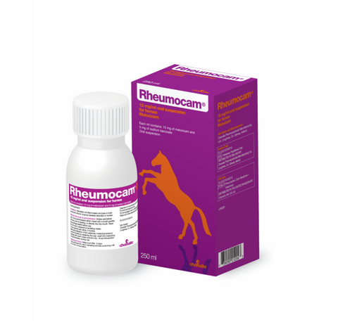 RHEUMOCAM EQUINE ORAL SUSP (Prescription Required)